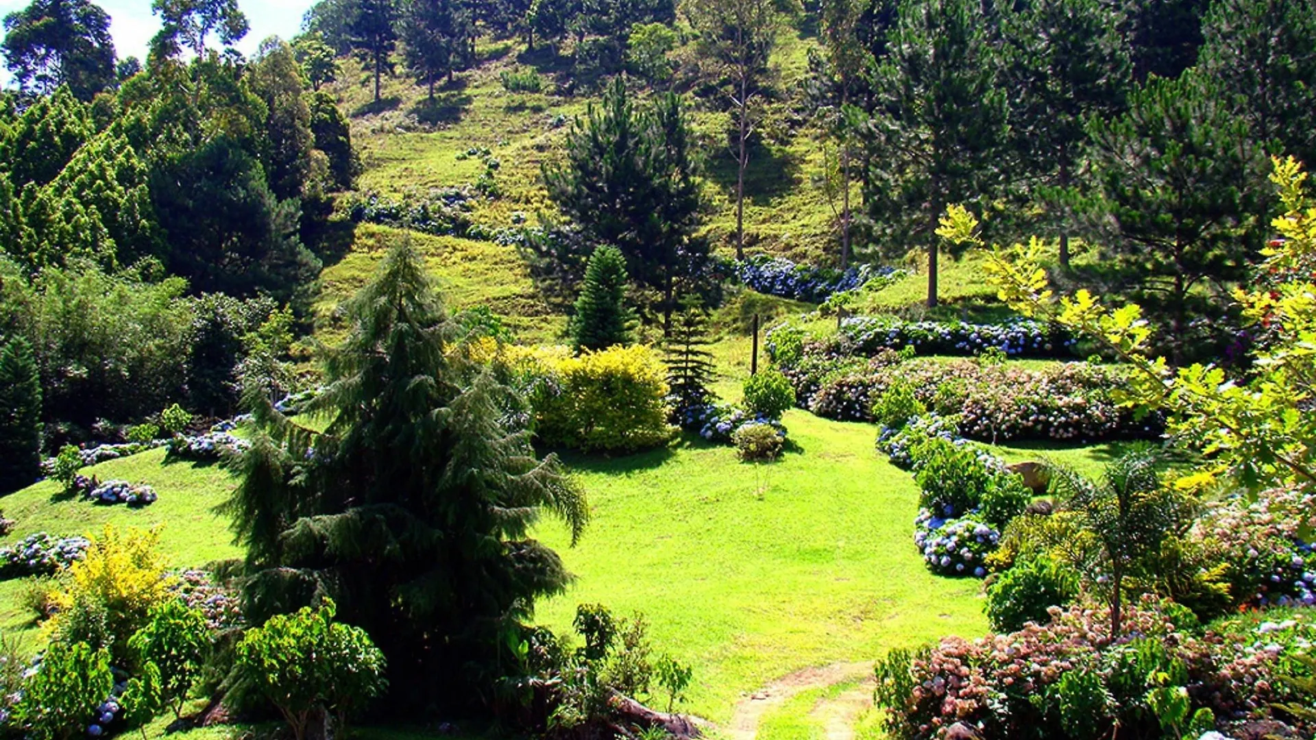 Blue Hill Hotel